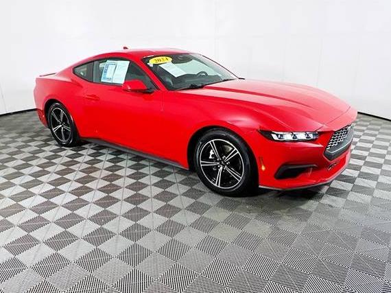 FORD MUSTANG 2024 1FA6P8TH6R5131106 image