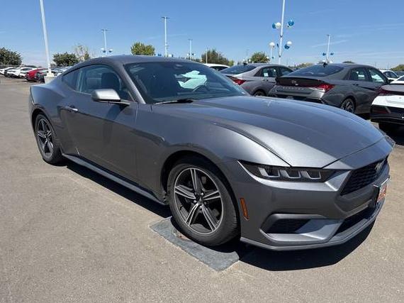FORD MUSTANG 2024 1FA6P8TH8R5107468 image