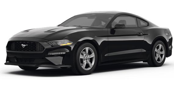 FORD MUSTANG 2024 1FA6P8TH2R5146038 image