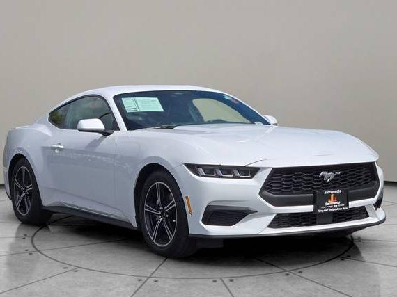 FORD MUSTANG 2024 1FA6P8TH2R5113525 image