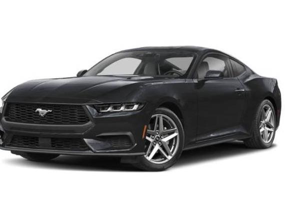 FORD MUSTANG 2024 1FA6P8TH5R5124955 image