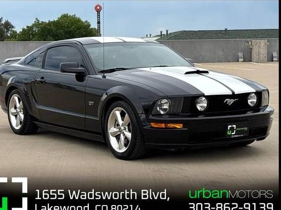 FORD MUSTANG 2006 1ZVHT82H665167127 image