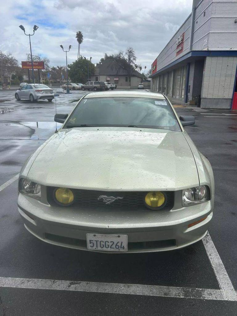 FORD MUSTANG 2006 1ZVHT82H865128538 image