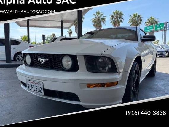 FORD MUSTANG 2006 1ZVFT82H665211120 image