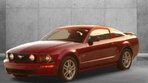 FORD MUSTANG 2006 1ZVHT82H665186194 image