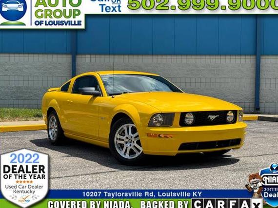 FORD MUSTANG 2006 1ZVFT82H165110616 image