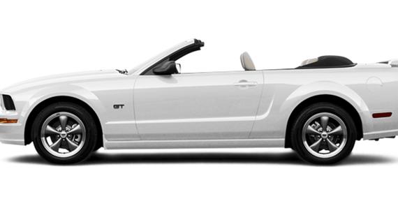 FORD MUSTANG 2006 1ZVFT84N365217282 image