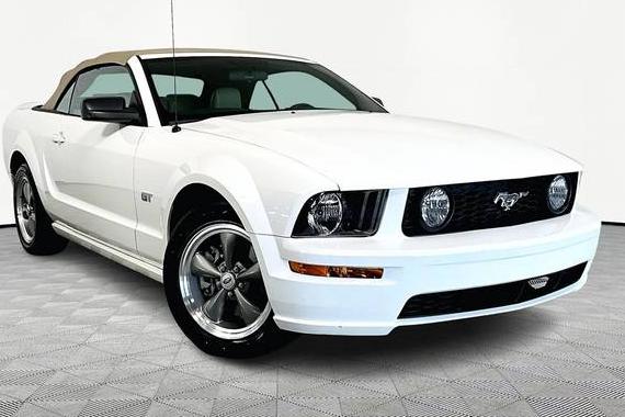FORD MUSTANG 2006 1ZVFT85H065112594 image