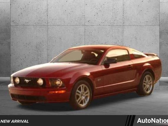 FORD MUSTANG 2006 1ZVHT82H665247558 image