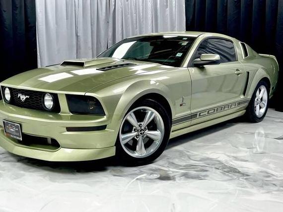 FORD MUSTANG 2006 1ZVHT82H965263981 image