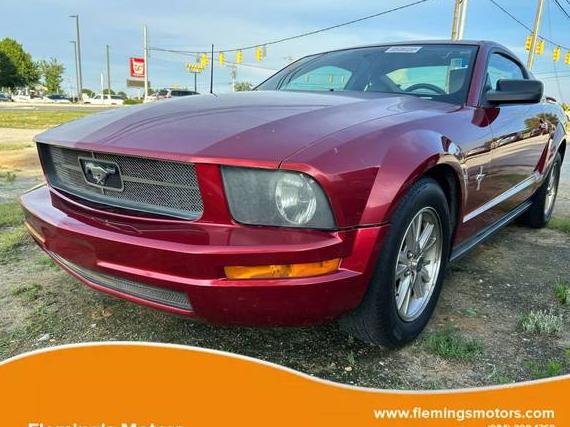 FORD MUSTANG 2006 1ZVHT80N665106479 image