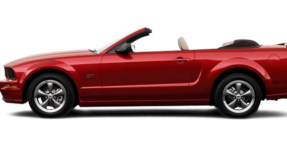 FORD MUSTANG 2006 1ZVFT84N465107308 image