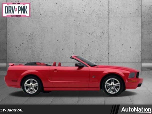 FORD MUSTANG 2006 1ZVHT85H565239186 image