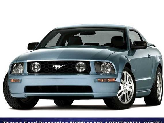 FORD MUSTANG 2006 1ZVFT82H265264221 image