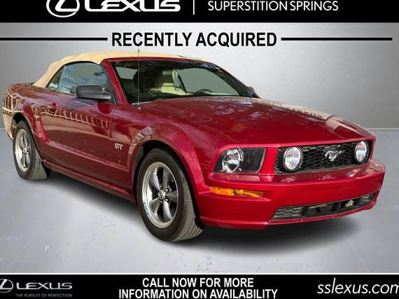 FORD MUSTANG 2006 1ZVHT85H365229871 image
