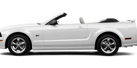 FORD MUSTANG 2006 1ZVFT84N965111516 image