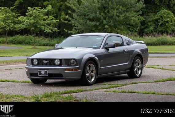 FORD MUSTANG 2006 1ZVHT82H565169662 image