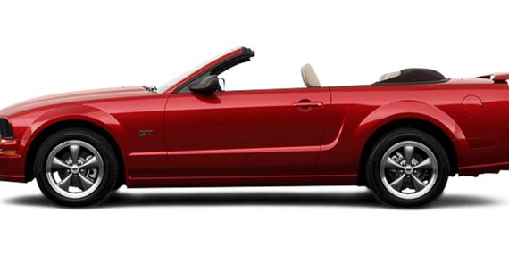 FORD MUSTANG 2006 1ZVFT84N265117447 image