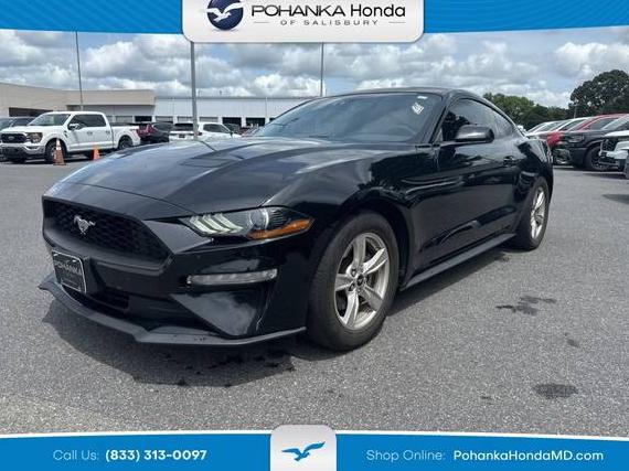 FORD MUSTANG 2020 1FA6P8TH2L5169360 image