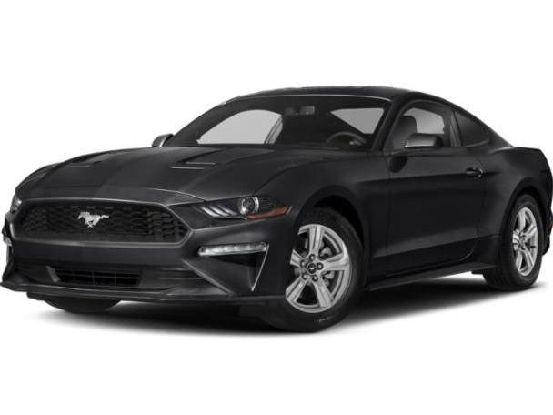 FORD MUSTANG 2020 1FA6P8TH8L5136136 image