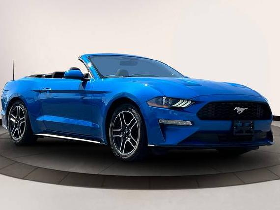FORD MUSTANG 2020 1FATP8UH8L5166870 image