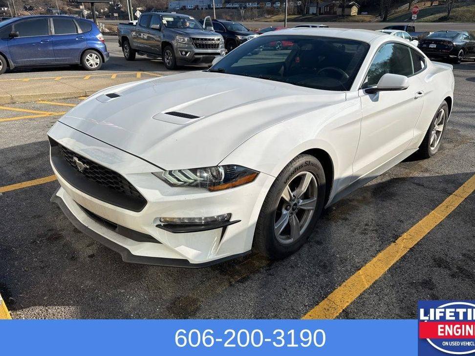 FORD MUSTANG 2020 1FA6P8TH9L5100682 image