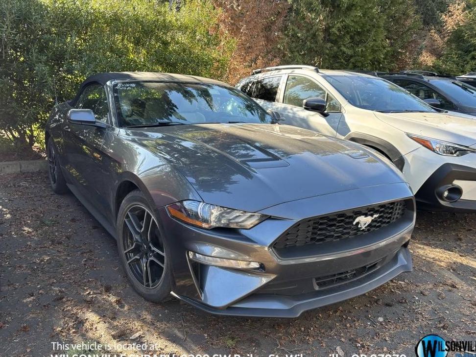 FORD MUSTANG 2020 1FATP8UH4L5184640 image