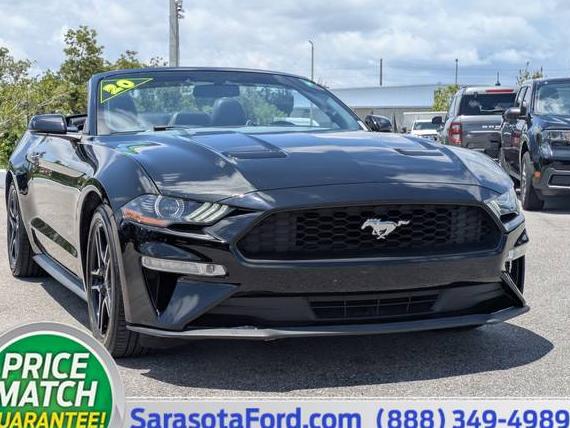 FORD MUSTANG 2020 1FATP8UH5L5118713 image