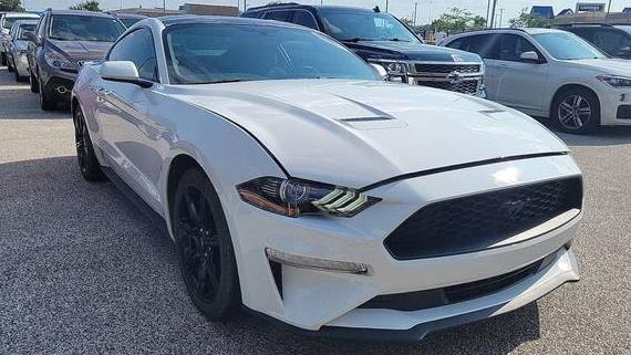 FORD MUSTANG 2020 1FA6P8TH4L5156464 image