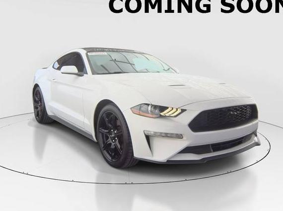 FORD MUSTANG 2020 1FA6P8TH6L5108349 image