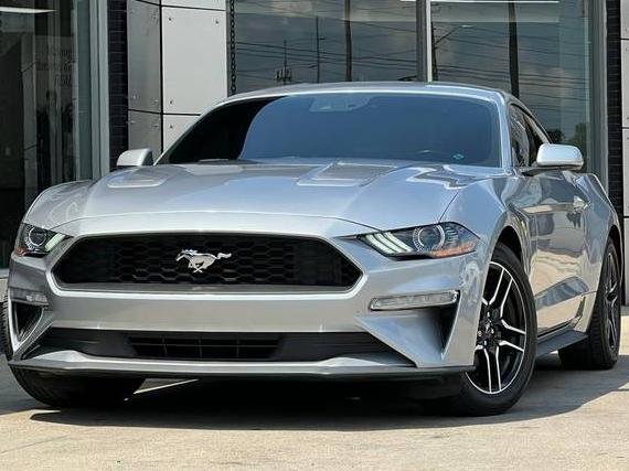 FORD MUSTANG 2020 1FA6P8TH4L5118068 image