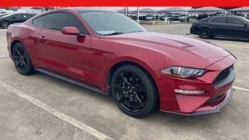 FORD MUSTANG 2020 1FA6P8TH6L5173301 image