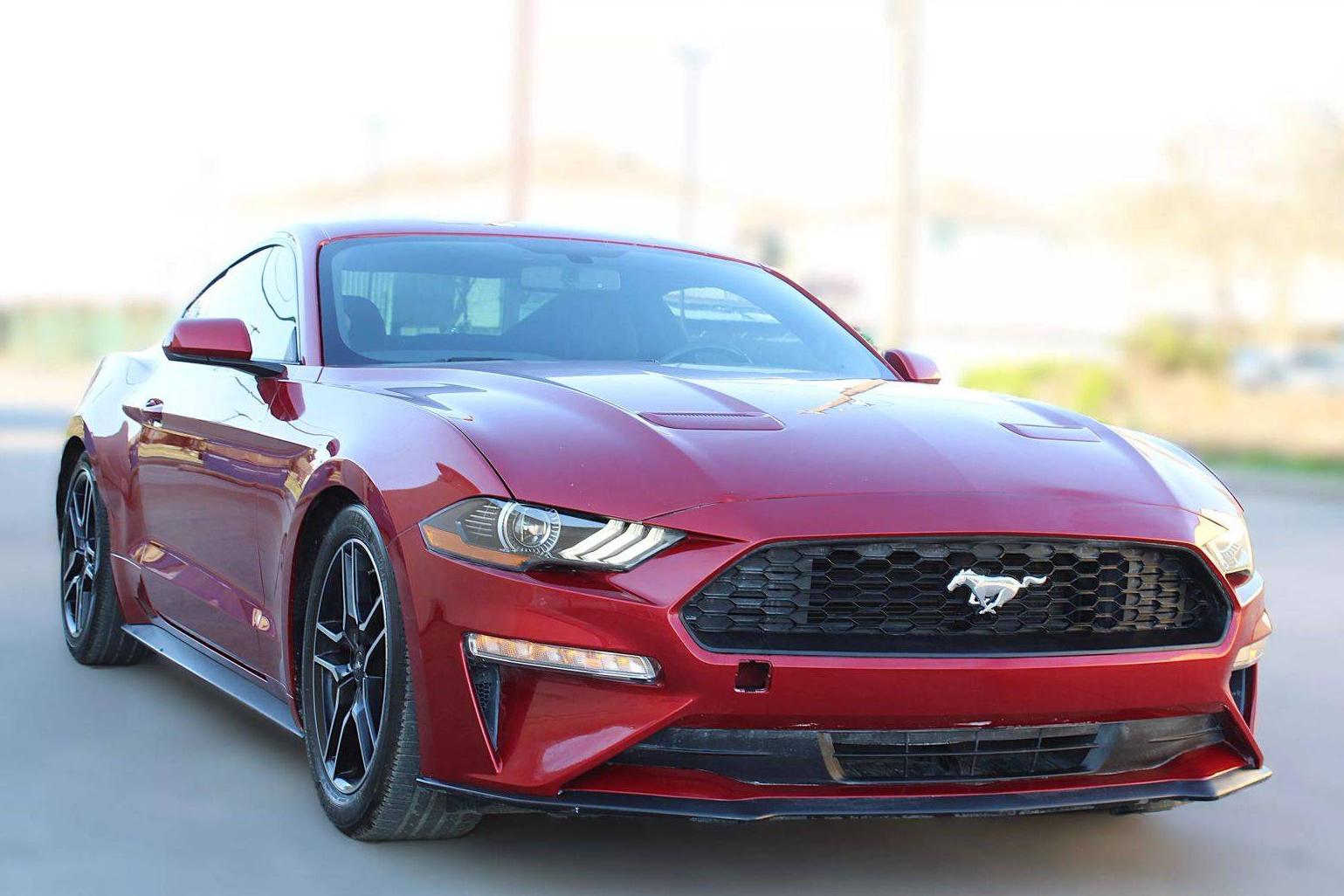 FORD MUSTANG 2020 1FA6P8TH1L5146457 image