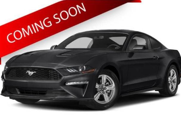 FORD MUSTANG 2020 1FA6P8TH8L5178600 image