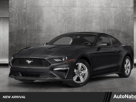 FORD MUSTANG 2020 1FA6P8TH4L5104011 image