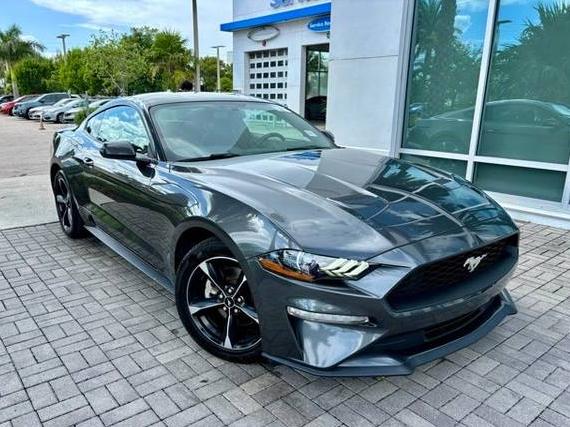 FORD MUSTANG 2020 1FA6P8TH4L5190520 image