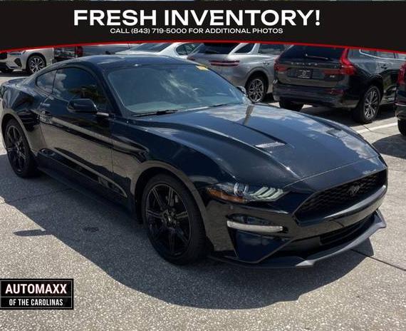 FORD MUSTANG 2020 1FA6P8TH9L5170974 image