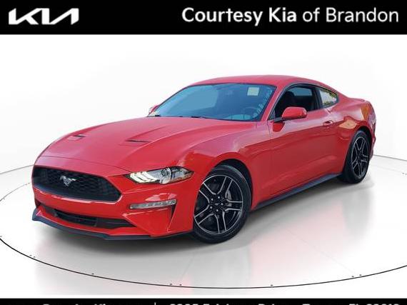 FORD MUSTANG 2020 1FA6P8TH0L5133117 image