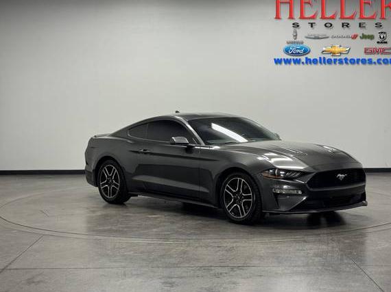 FORD MUSTANG 2020 1FA6P8TH4L5147537 image