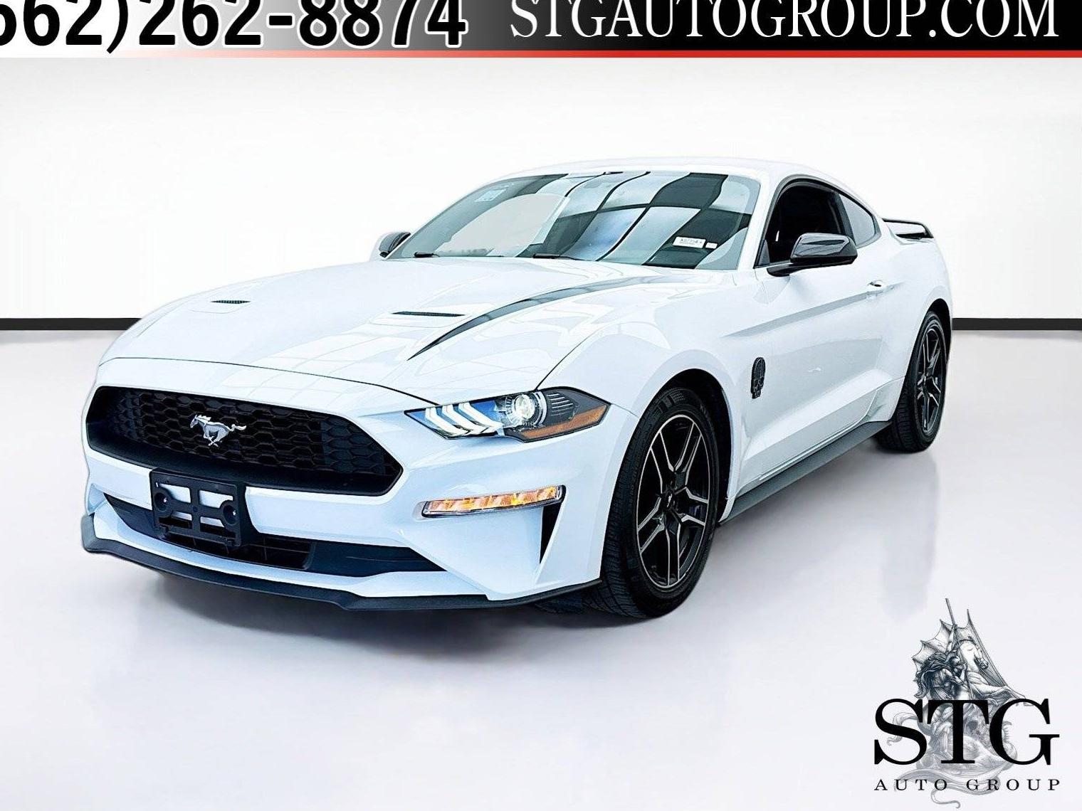 FORD MUSTANG 2020 1FA6P8TH5L5141892 image