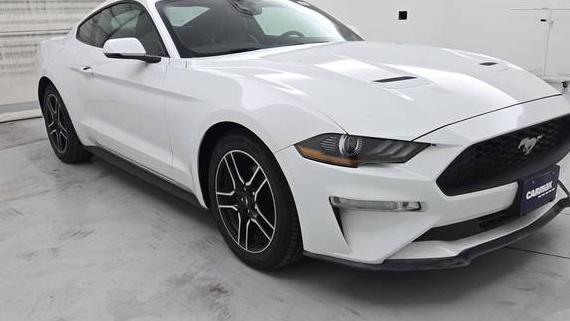FORD MUSTANG 2020 1FA6P8TH9L5147954 image