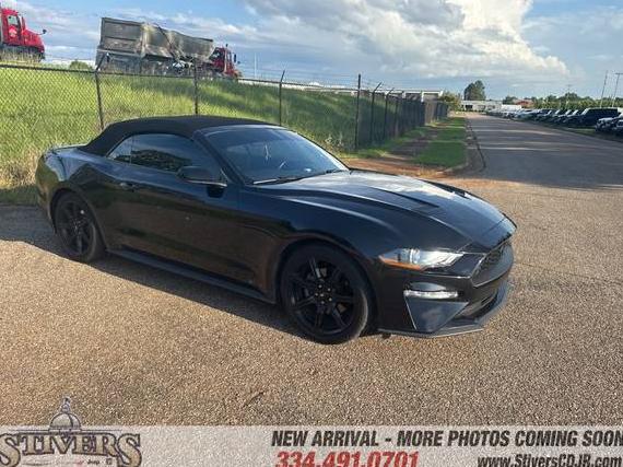 FORD MUSTANG 2020 1FATP8UH4L5124065 image