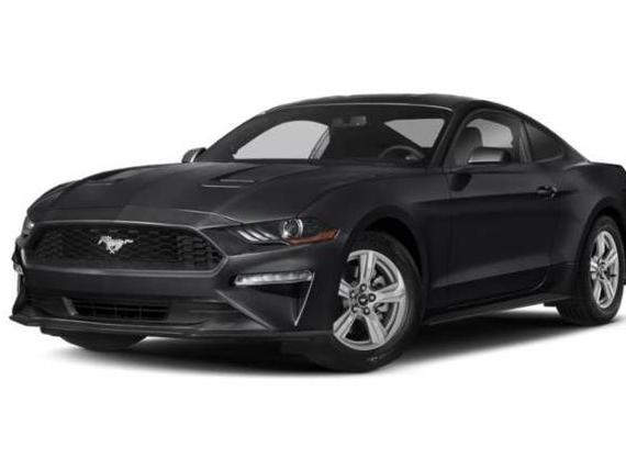 FORD MUSTANG 2020 1FA6P8TH2L5143003 image