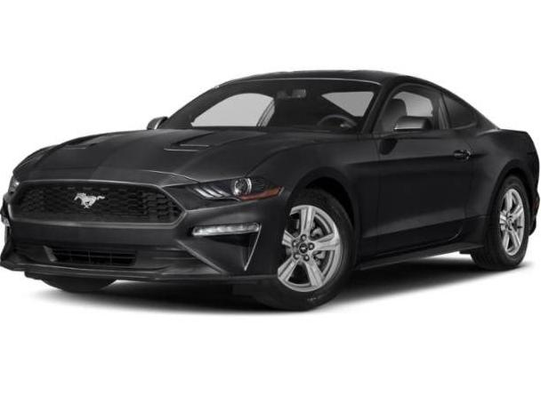 FORD MUSTANG 2020 1FA6P8TH6L5137012 image