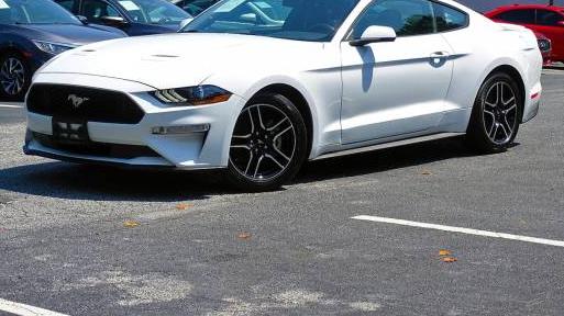 FORD MUSTANG 2020 1FA6P8TH5L5131962 image