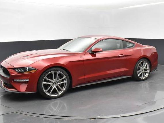 FORD MUSTANG 2020 1FA6P8TH7L5100485 image