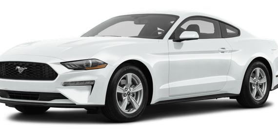 FORD MUSTANG 2020 1FA6P8TH4L5181641 image