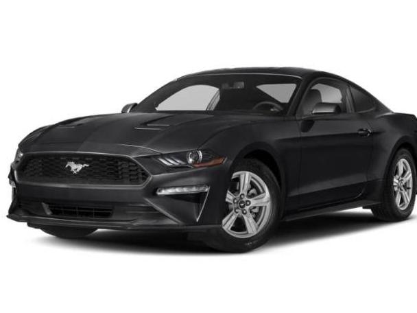 FORD MUSTANG 2020 1FA6P8TH3L5108406 image