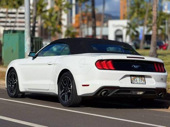 FORD MUSTANG 2020 1FATP8UH7L5105980 image