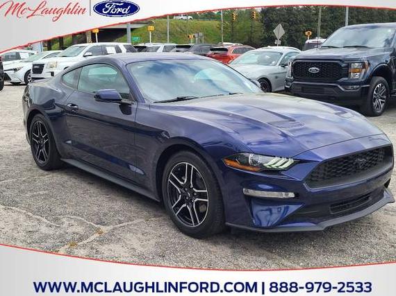 FORD MUSTANG 2020 1FA6P8TH5L5159504 image